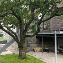 Stahl-Anbaubalkon mit Gel&auml;nder und Treppe